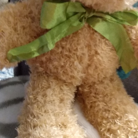 New Teddy Bear With Green 💚 Bow - Picture 3 of 4